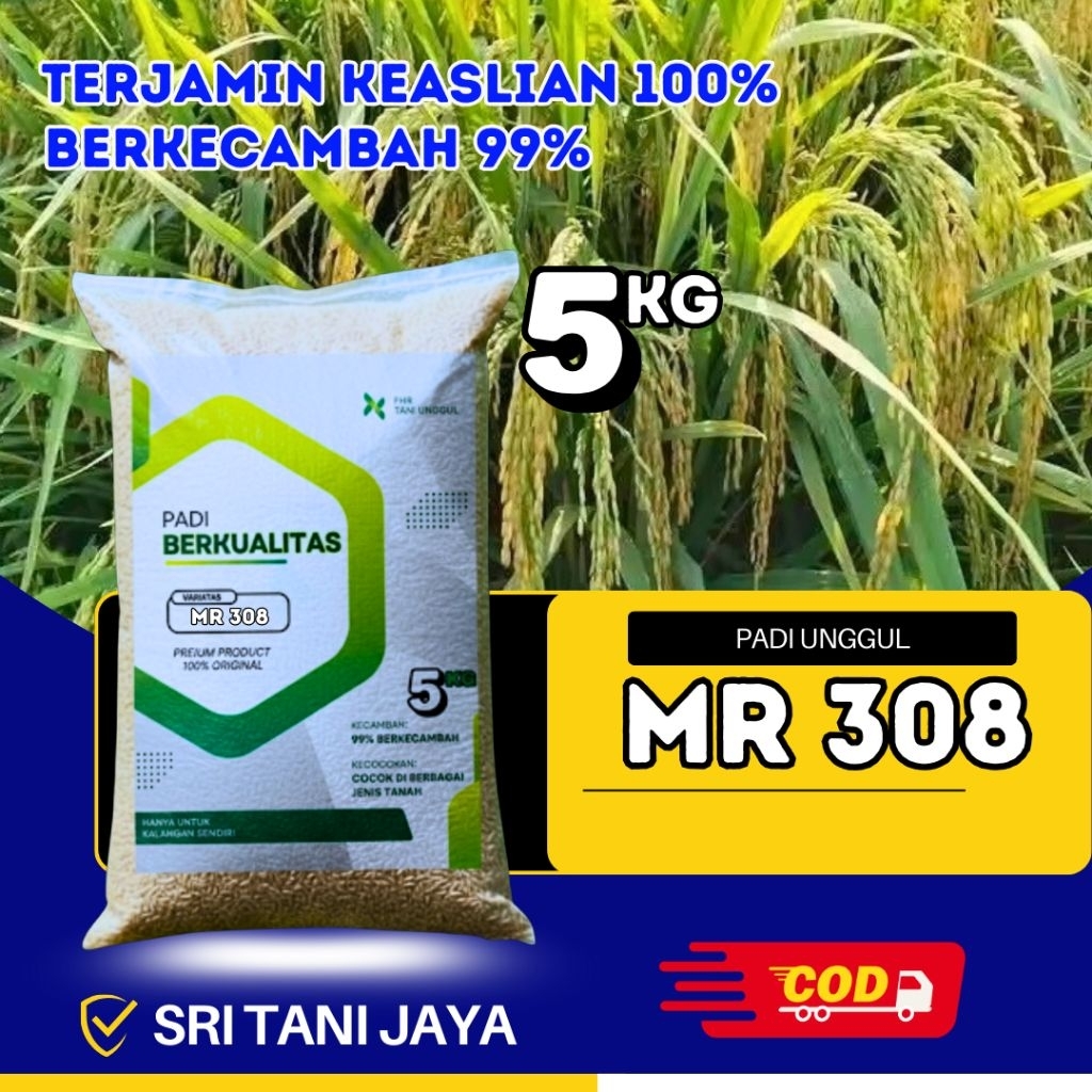 Benih padi unggul mr 308 original kemasan 5kg