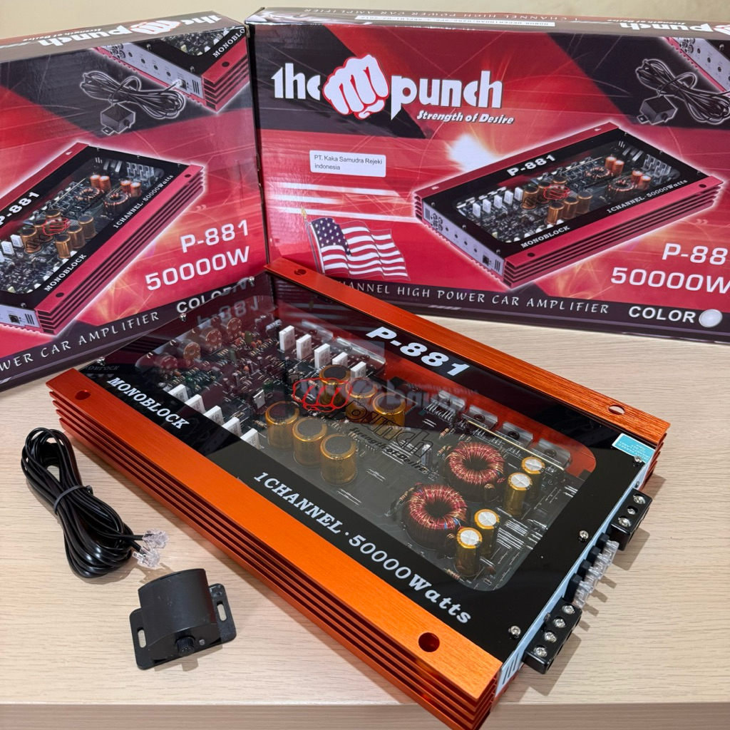 Power Monoblok The PUNCH P 881 MONOBLOCK The PUNCH P-881