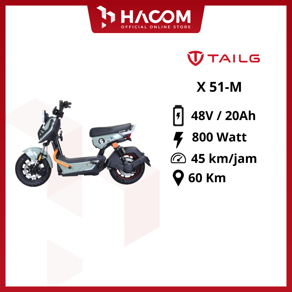 SEPEDA LISTRIK TAILG X51-M ORIGINAL TERBARU