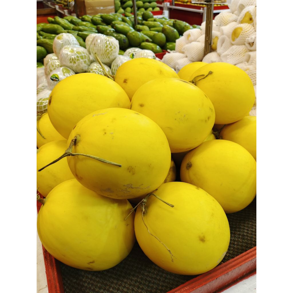 melon golden