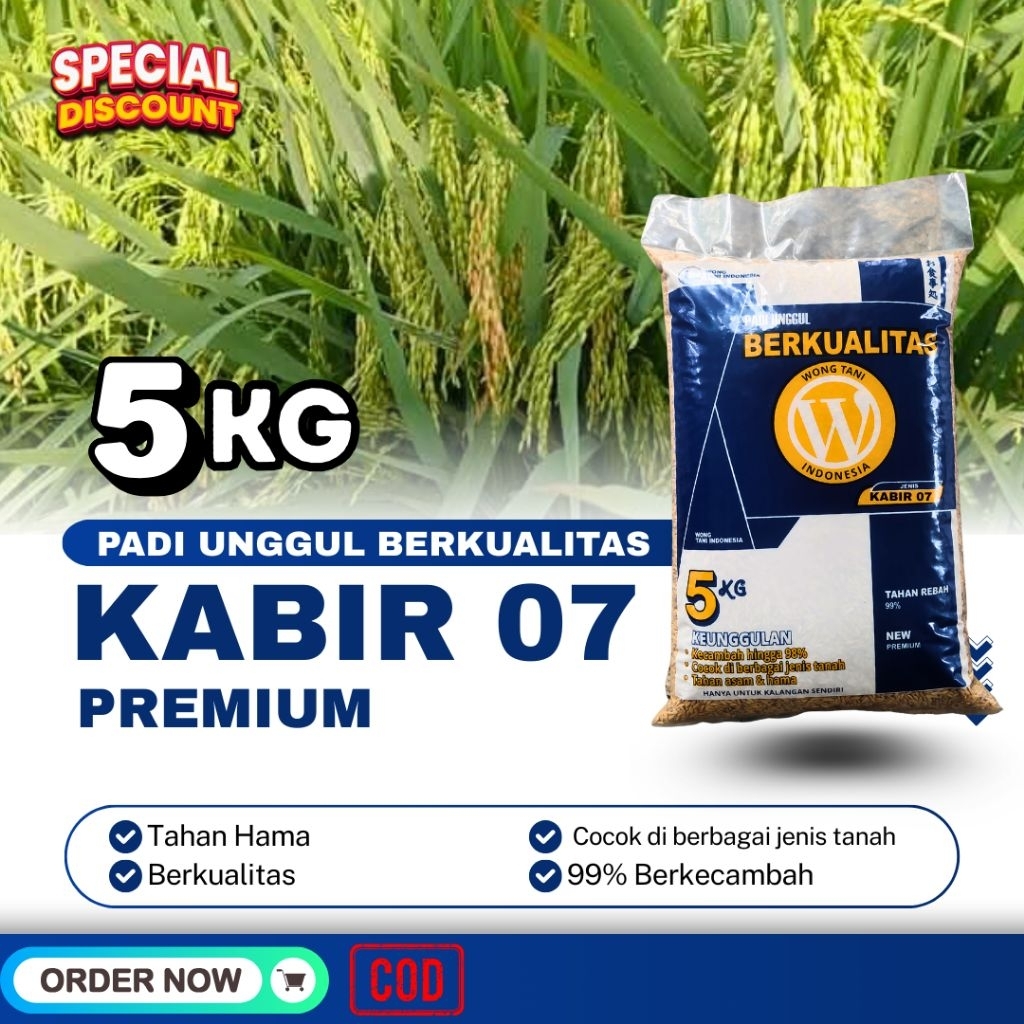 PADI GALUR KABIR 07 5KG