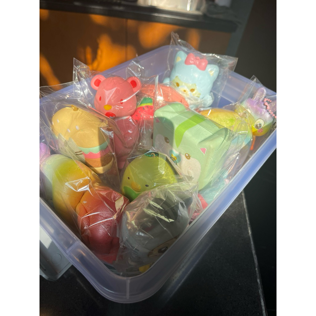 Preloved Squishy Licensed & Common