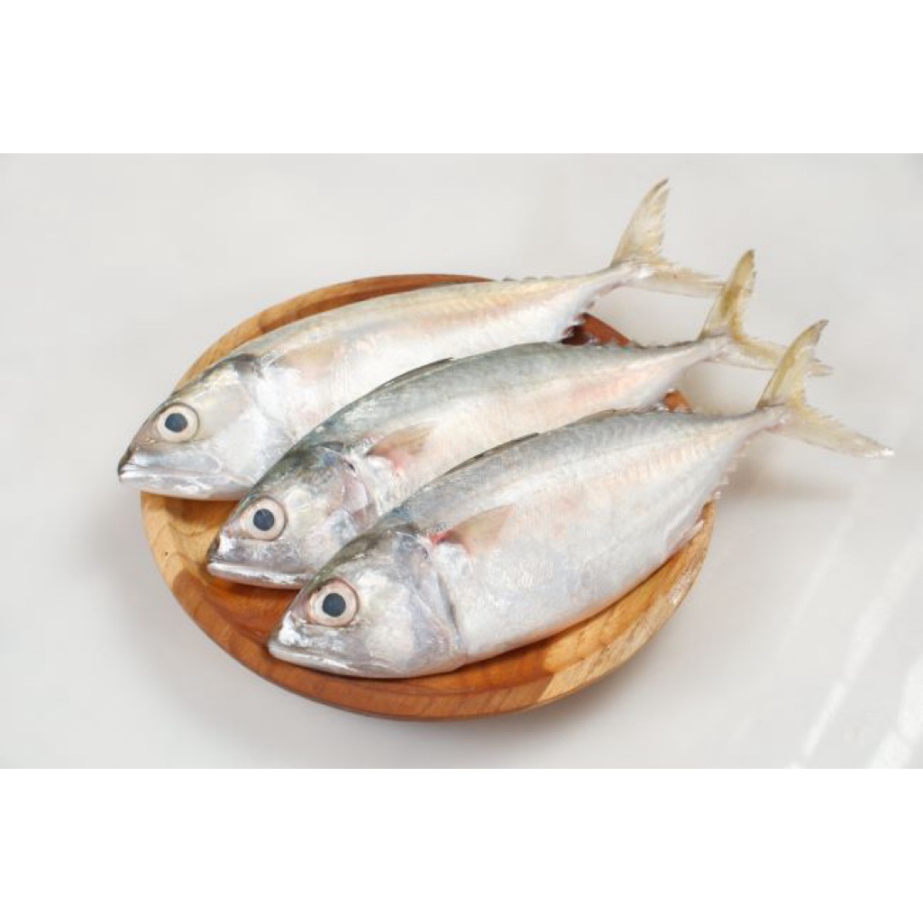 

Kembung Kecil Segar/Segar Dari Pasar Induk Langsung