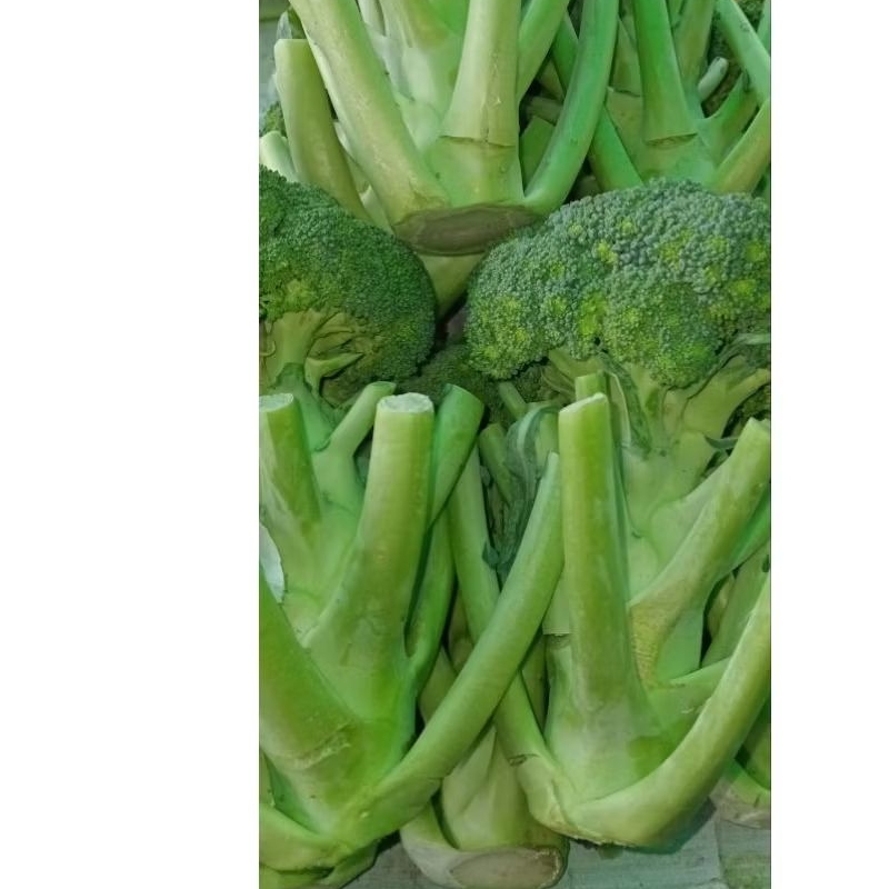 

sayur brokoli segar - 500gram