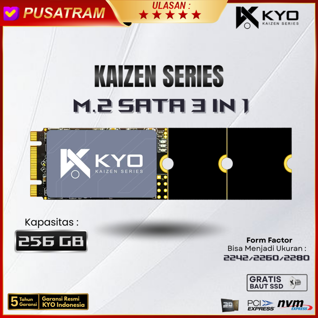 SSD M2 SATA 256GB 2242 M.2 SATA / M2SATA KYO KAIZEN (GARANSI 5 TAHUN)