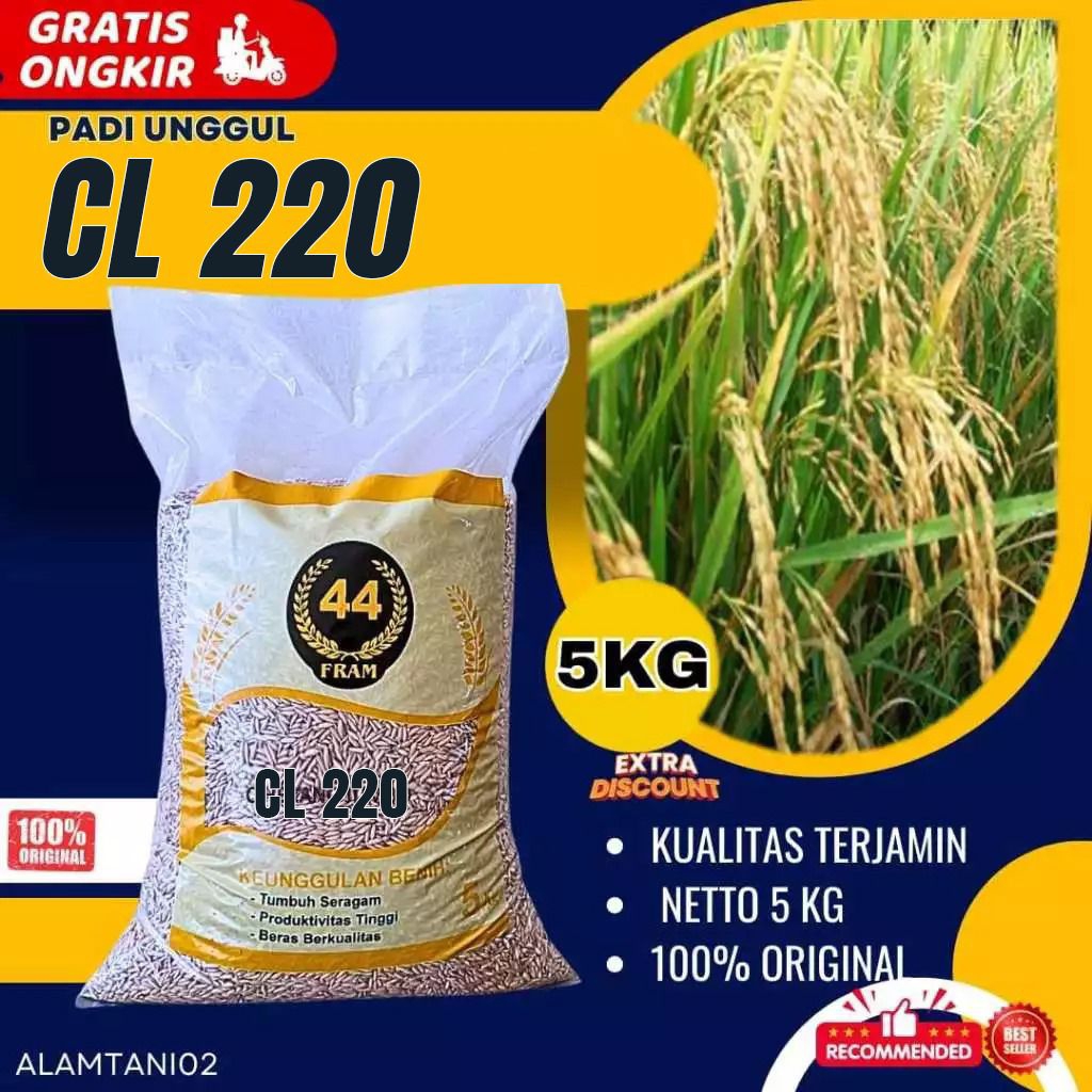 Benih padi bibit padi CL 220 kualitas original kemasan 5 kg
