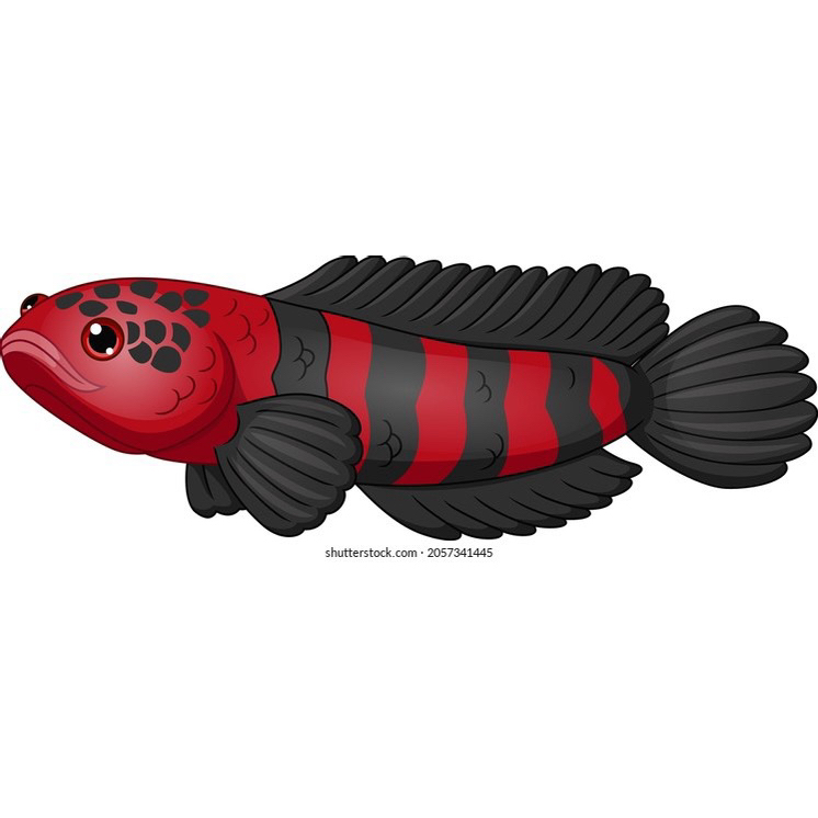 AksesorisChannaMaruRed