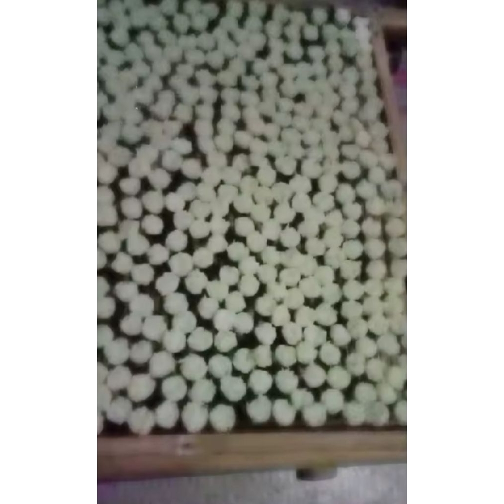 

rengginang mentah mini