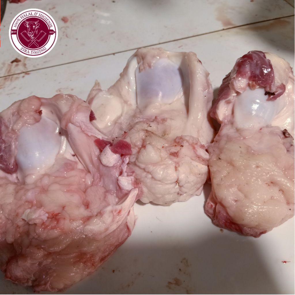 Dengkul sapi -- Cengklok sapi || 1 kg