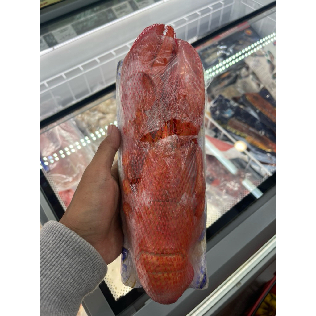 Lobseter Super Jumbo Canadian Frozend / Lobster Canadian Super 1 Lobster -+500gram