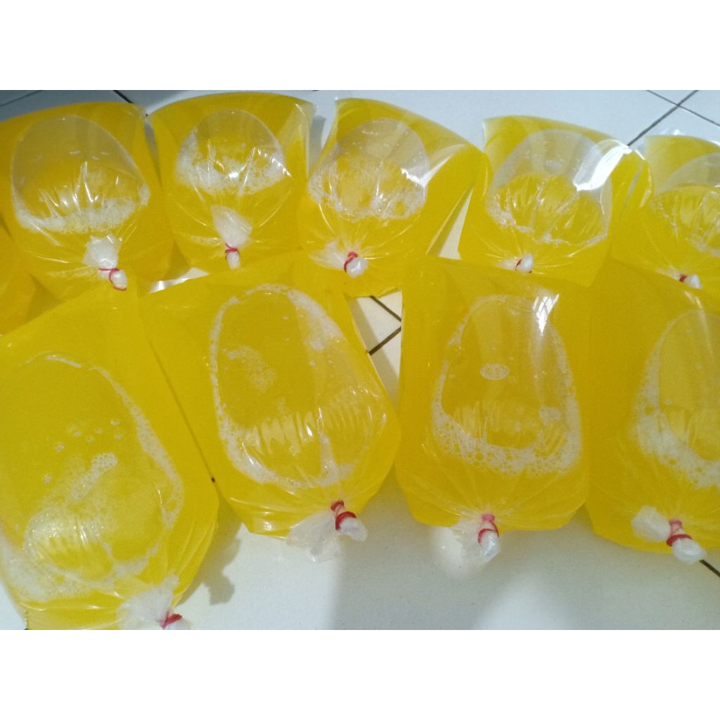 putih telur 1kg