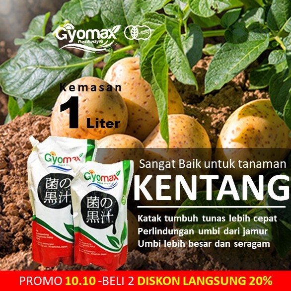 PUPUK KENTANG - GYOMAX - 1 LITER
