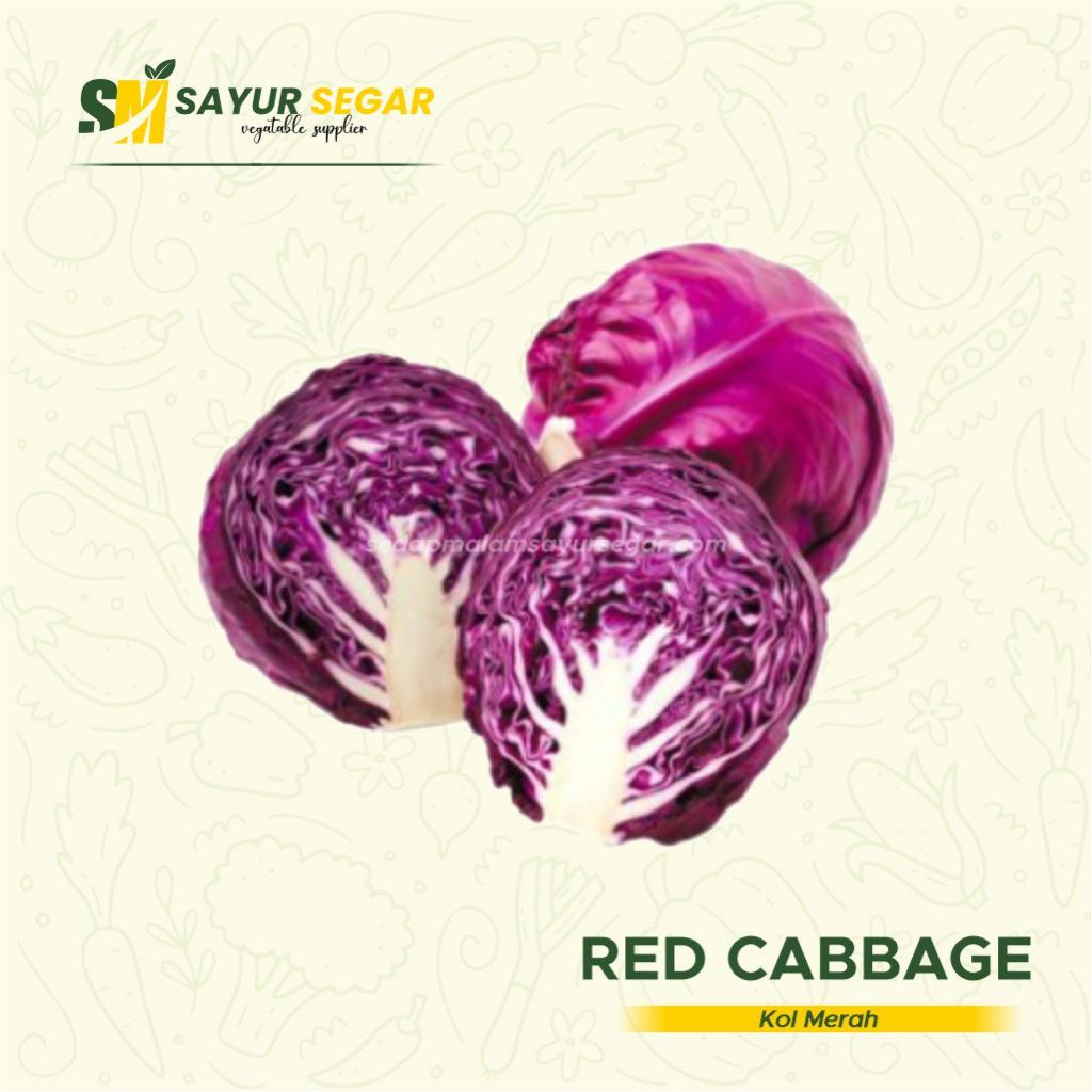 Kol Merah Fresh/Kol Merah Ungu / Kol Ungu / Kol / Kubis Merah / Kubis Ungu Untuk Salad Kol Merah 1kg