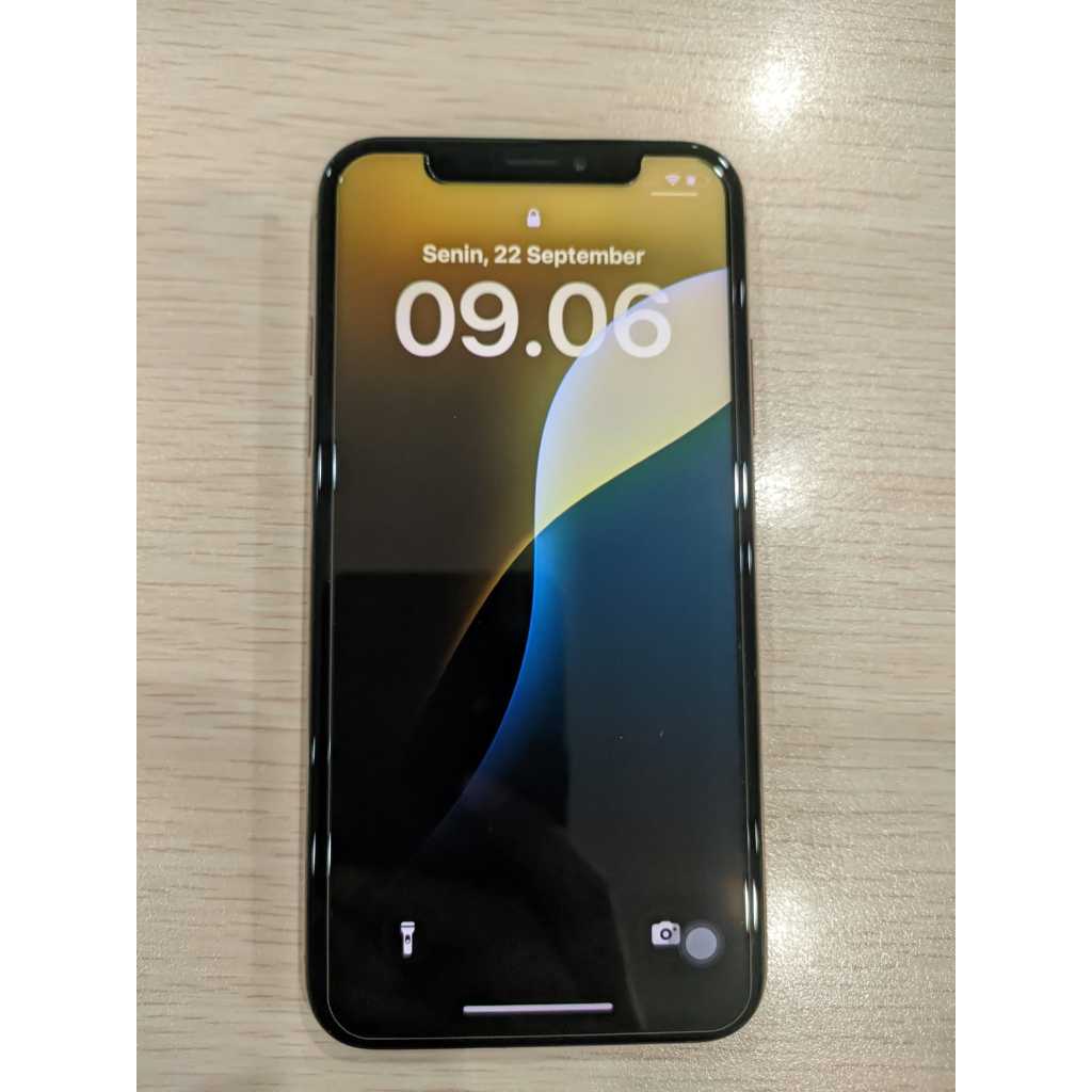 Iphone XS 256gb Gold + Charger Ugreen