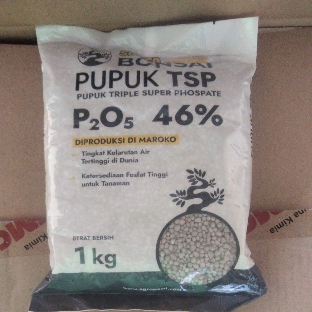 Pupuk TSP 46% Super BONSAI 1kg Original Maroko