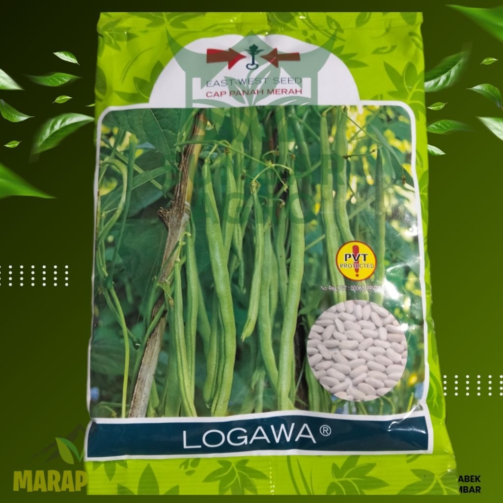 Buncis LOGAWA  // ORI CAP PANAH MERAH