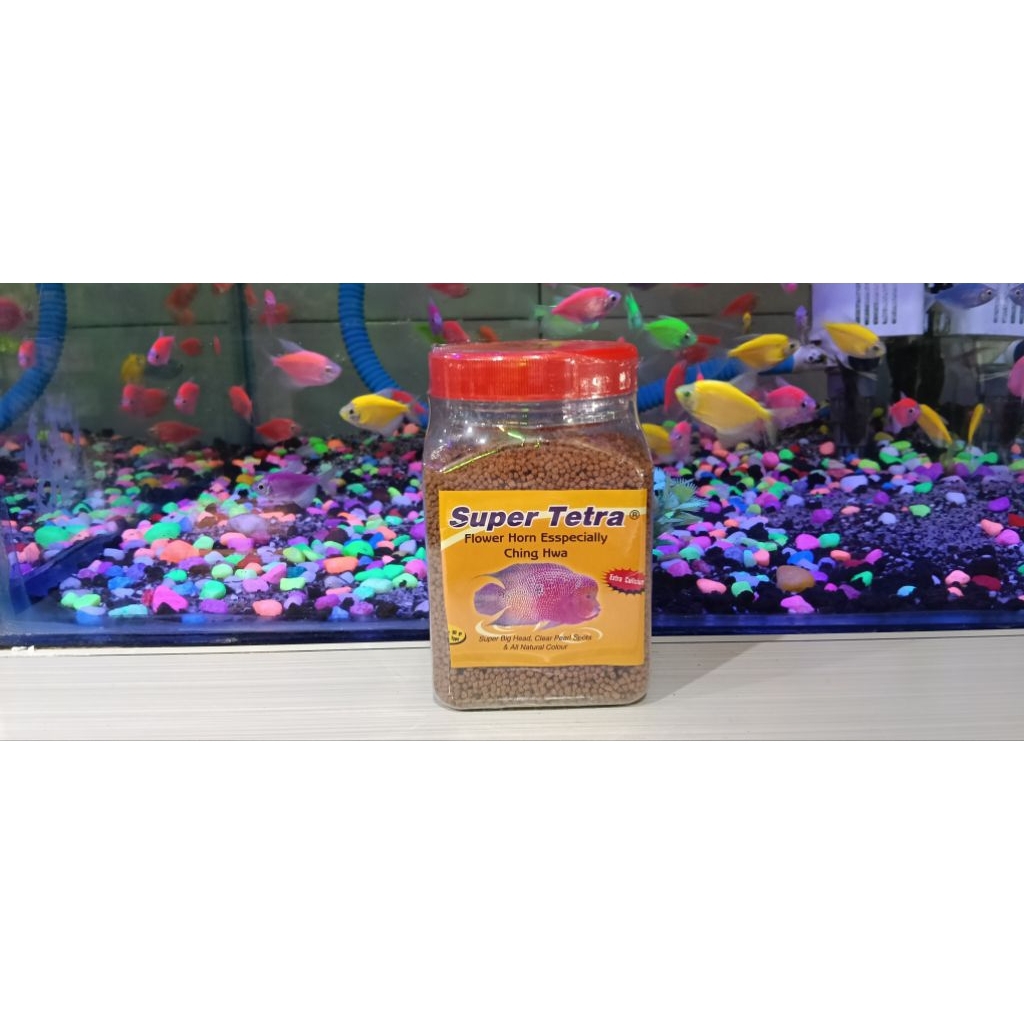 Super Tetra makanan ikan louhan
