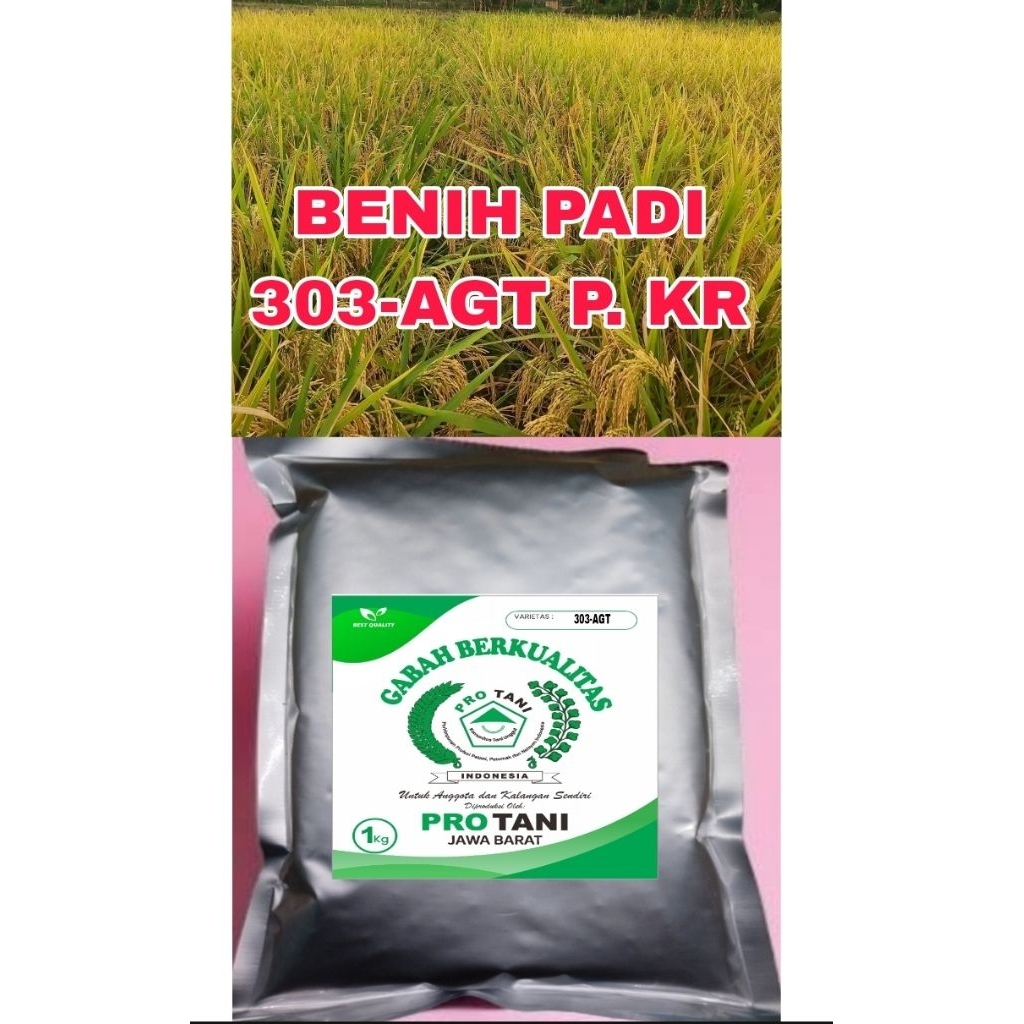 BENIH PADI 1KG 303-AGT ORI 100% GABAH BERKWALITAS LABEL PUTIH