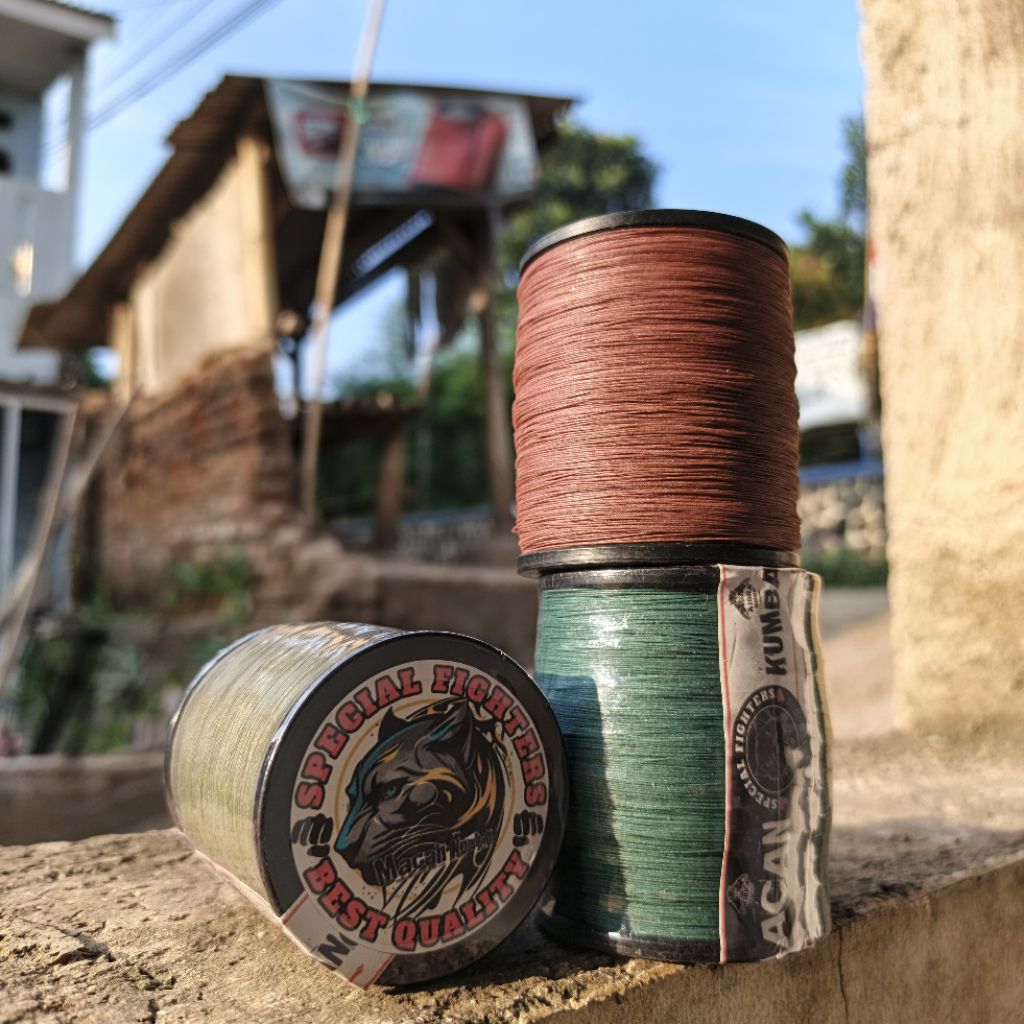 gelasan layangan tajam dan kuat macan kumbang 2000 yard