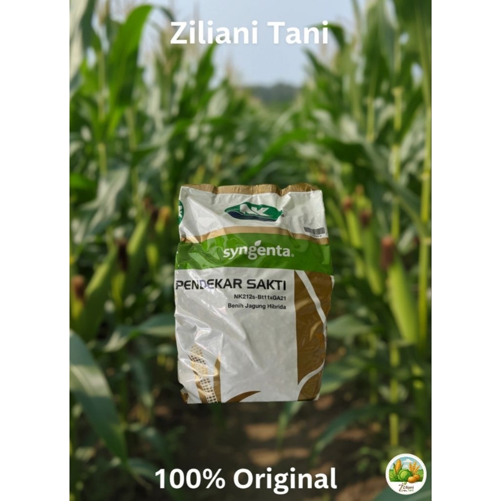 Syngenta Pendekar Sakti Nk 212 – Benih Jagung 5kg