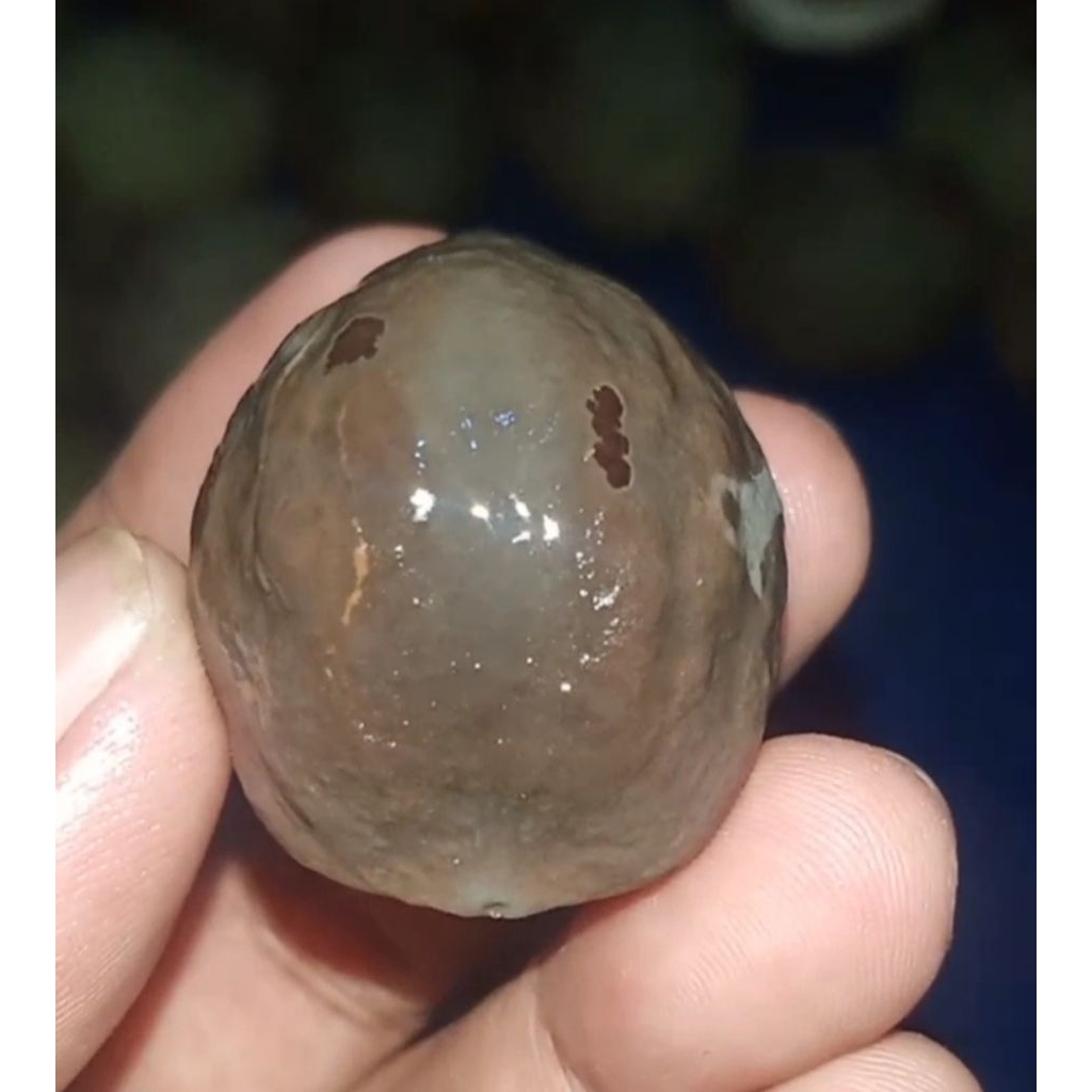 cangklongan muncang adu jenis mayit Jawa wonosobo