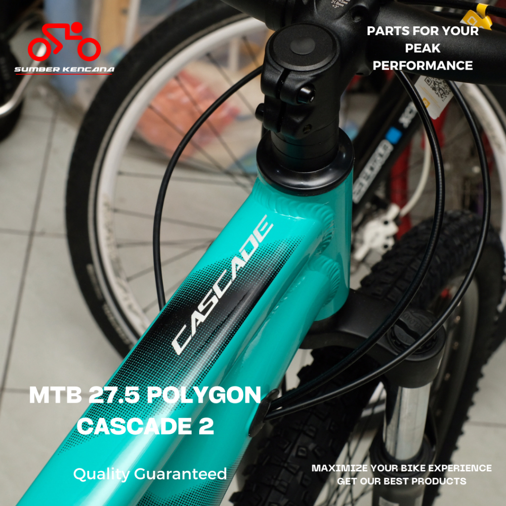 MTB POLYGON CASCADE 2.0