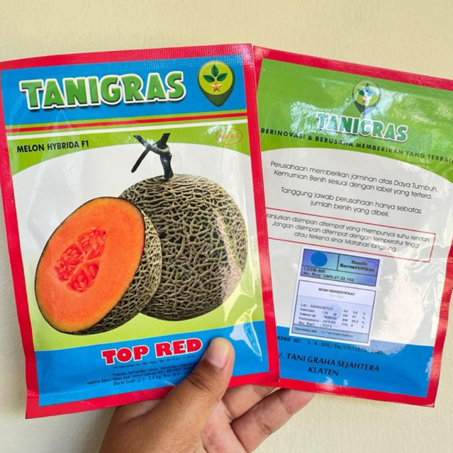Benih Melon Top Red f1 (isi -+ 500 butir) Tahan virus di sukai lapak exp 11-2026