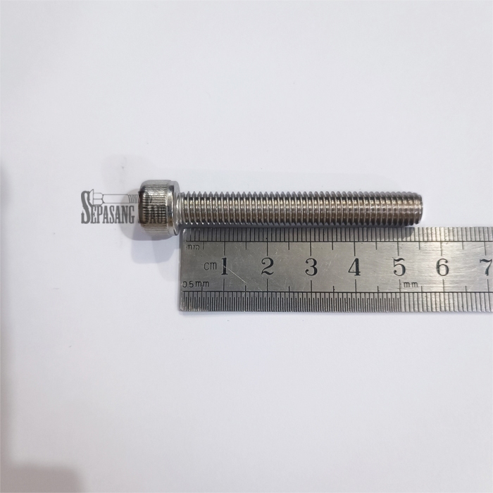 M8 x 55 Baut L Hex Head Socket Screw Stainless 304 M8x55