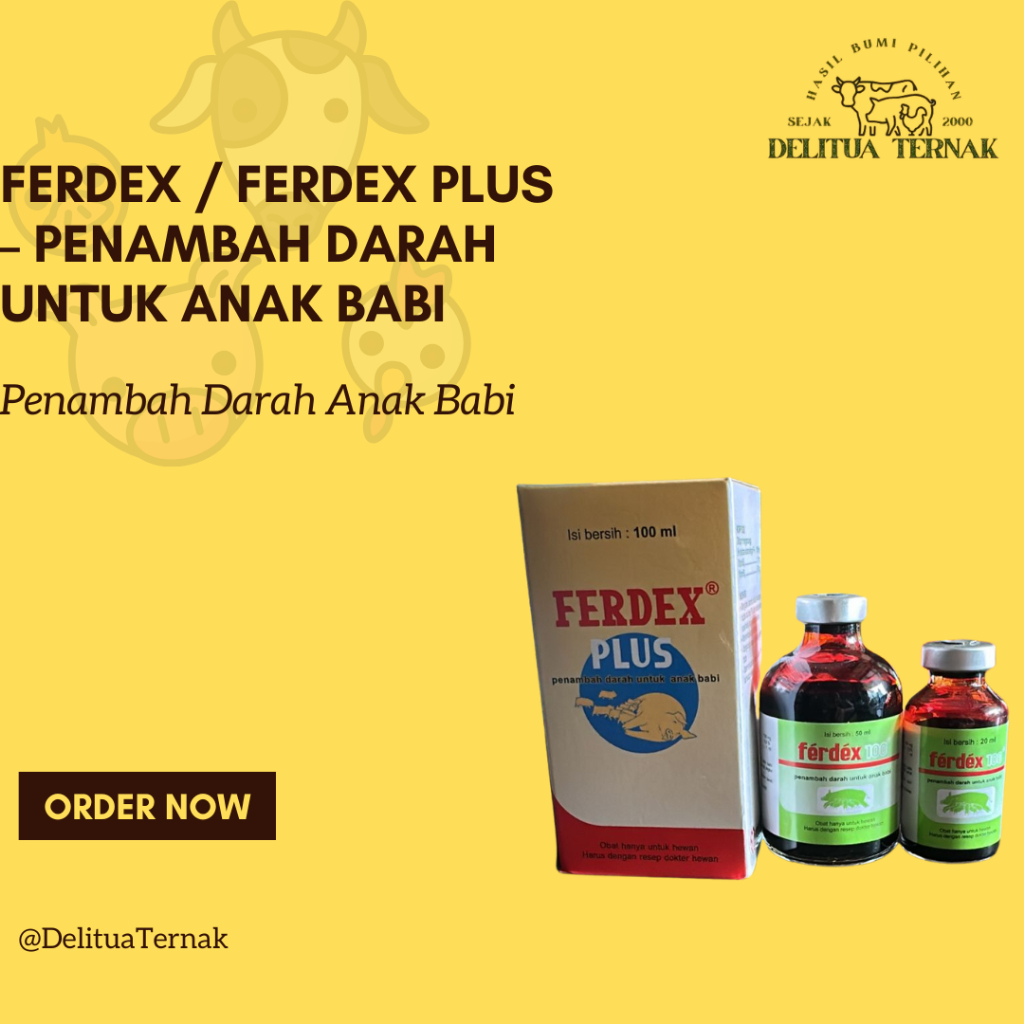 FERDEX / FERDEX PLUS – Penambah Darah untuk Anak Babi