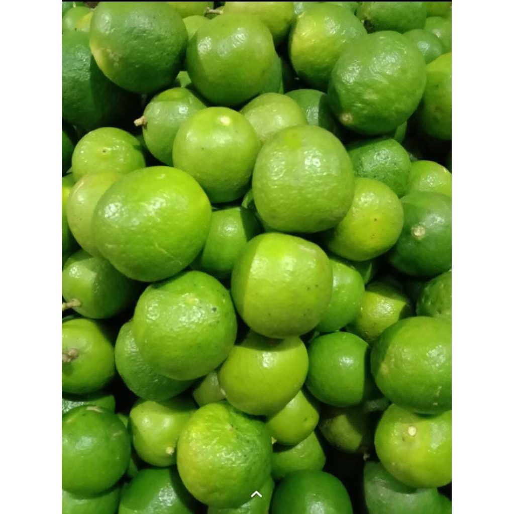 Jeruk Nipis Fresh - Jeruk nipis segar