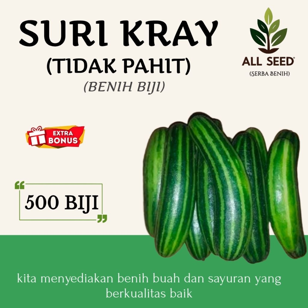 ( ±500 biji) Benih timun suri kray, bibit timun lalap, bonteng suri kray tidak pahit
