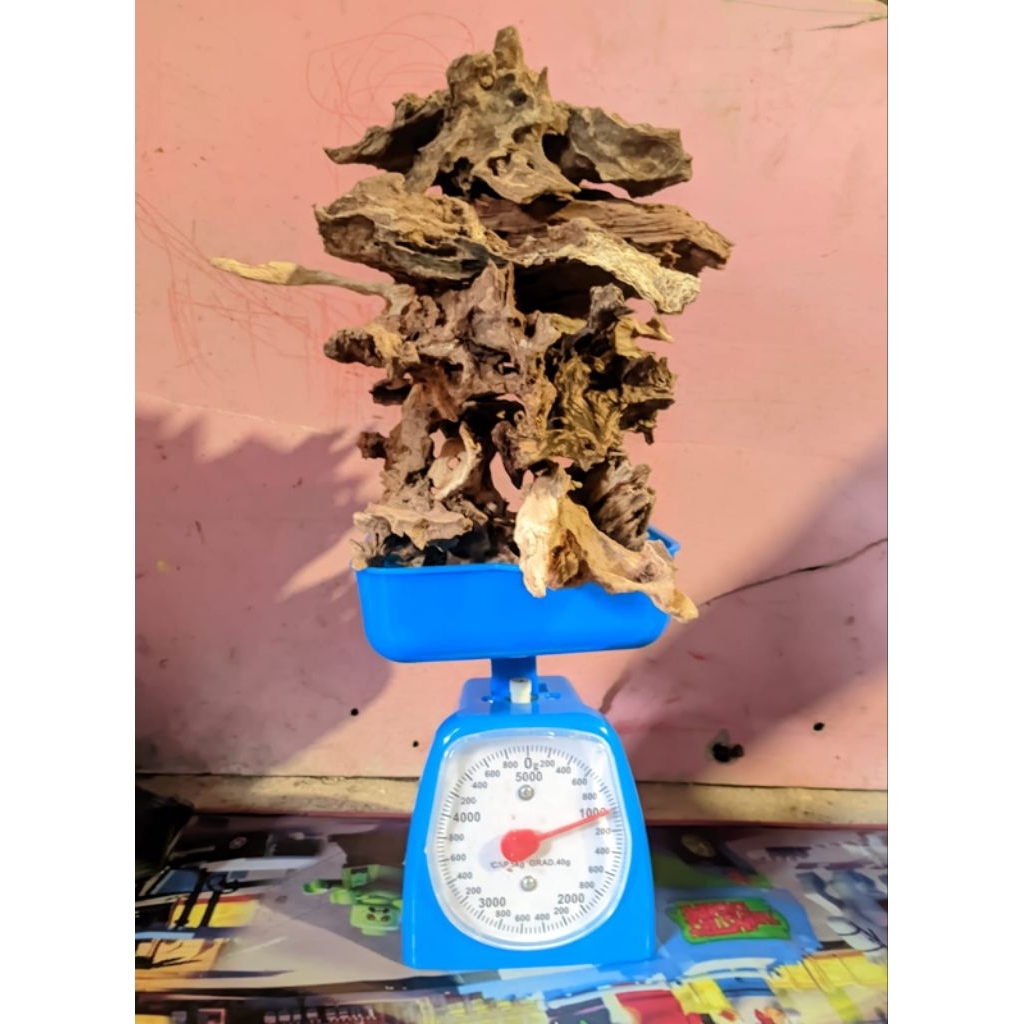 kayu rentek mini .akuascape .1.kg.