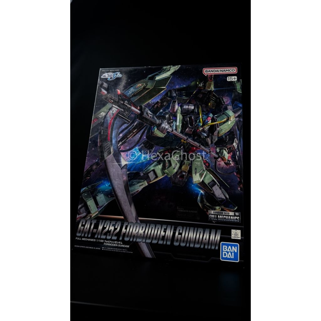 1/100 FM Forbidden Gundam Bandai MG Forbidden