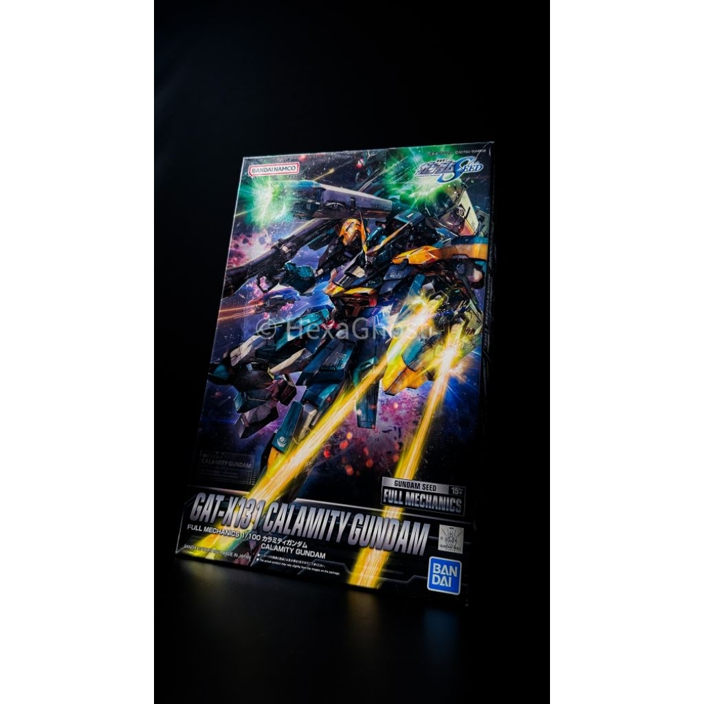 1/100 FM Calamity Gundam Bandai MG Calamity