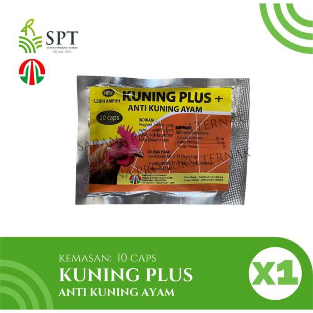 KUNING PLUS + SACHET (TAMASINDO) SAKIT KUNING LIVER AYAM