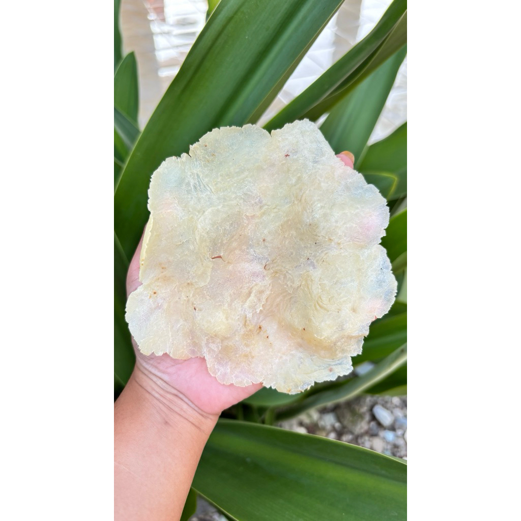 emping lebar emping melinjo