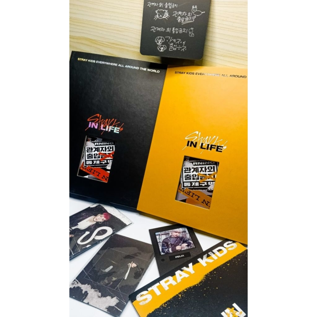 ALBUM ONLY STRAYKIDS IN LIFE