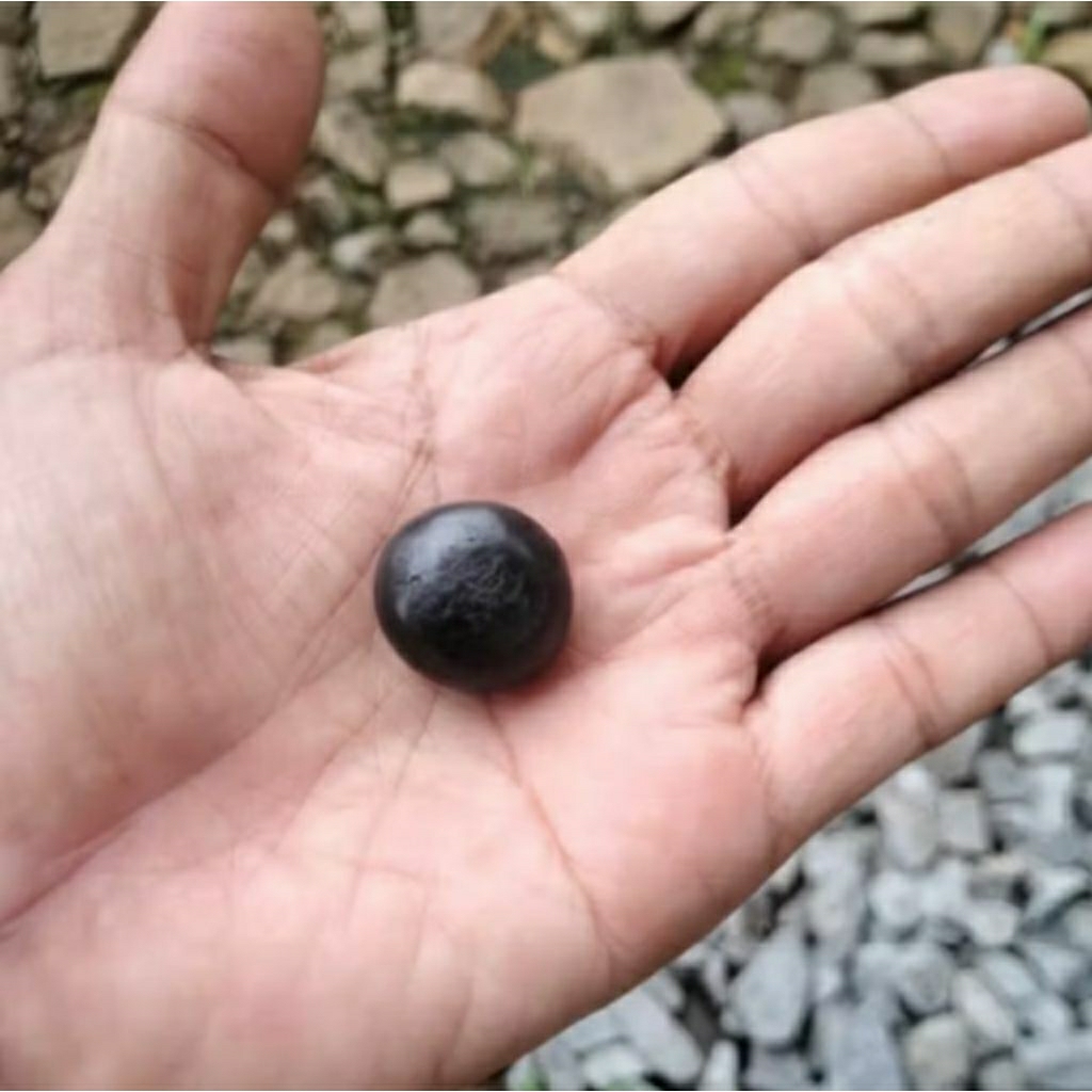 Batu getar cahaya mantap ,batu gerak kena cahaya