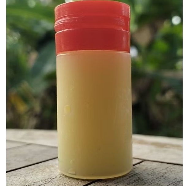 100 gram royal jelly royal jelly murni royal jelly asli
