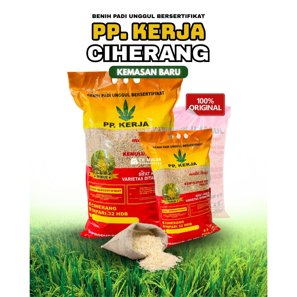 Benih Padi Unggul Berkualitas Bersertifikat isi kemasan 5kg dari PP.KERJA - Varietas Ciherang, Inpar