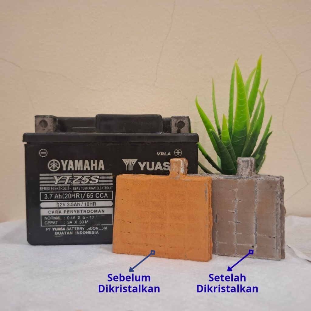 Plat Positif Aki Motor YTZ5S & YTZ6V Baru | Hasil CCA Tinggi | Sel Positif Aki Motor GTZ5S & GTZ6V B