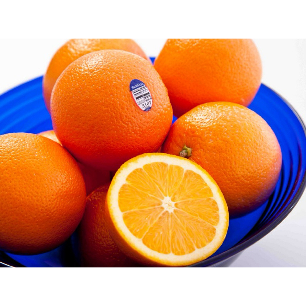 bibit jeruk sunkist kondisi sudah berbuah