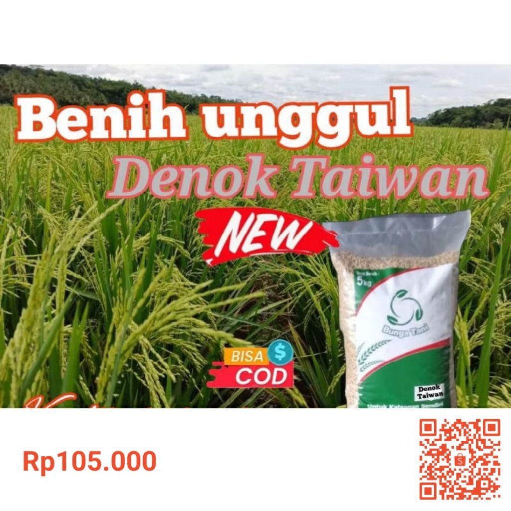 BENIH PADI UNGGUL DENOK TAIWAN