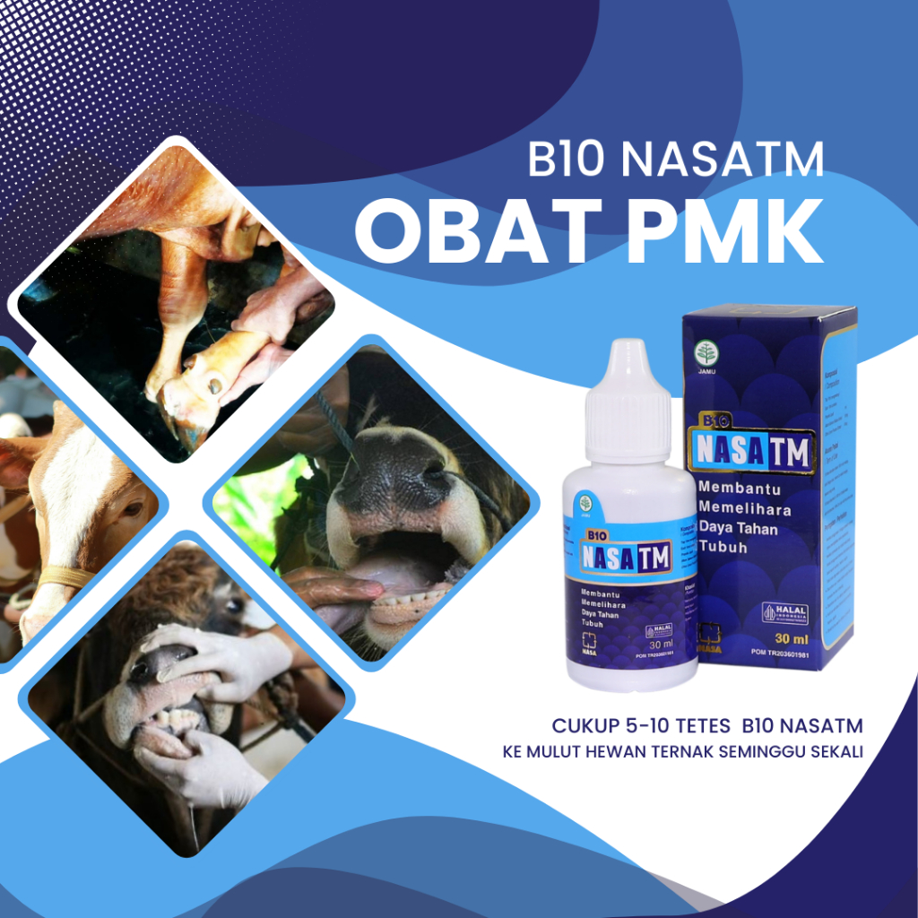 BIO NSTM OBAT PMK SAPI AMPUH - UNTUK SAPI GAK MAU MAKAN DAN LUKA KAKI AKIBAT PMK