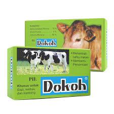Dokoh Nafsu Makan Sapi Ternak