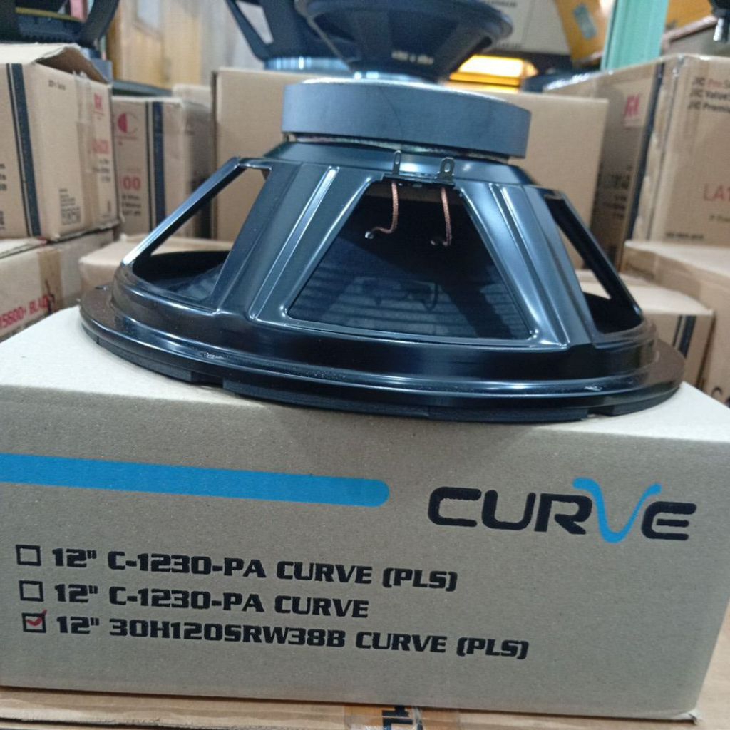 SPEAKER CURVE 12 INCH 30H120SRW38B