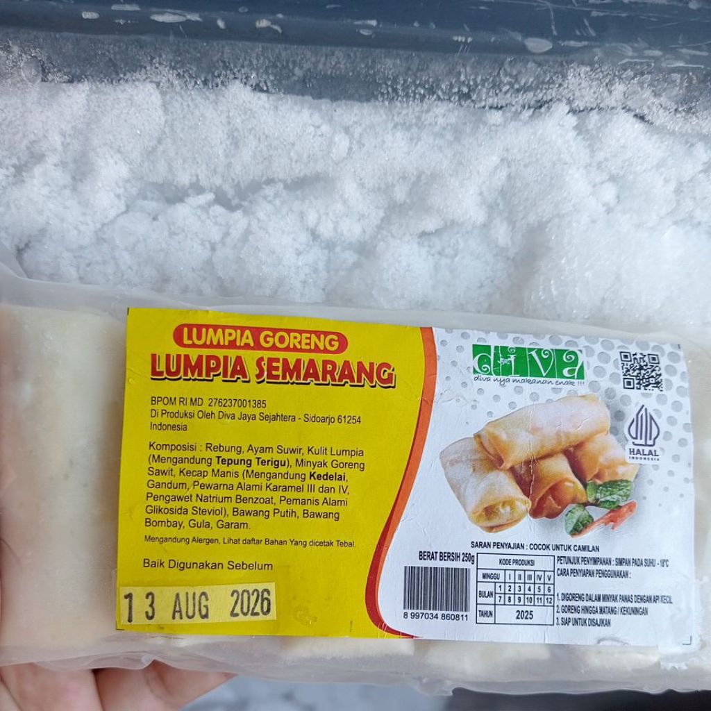 LUMPIA SEMARANG FROZEN ISI 13