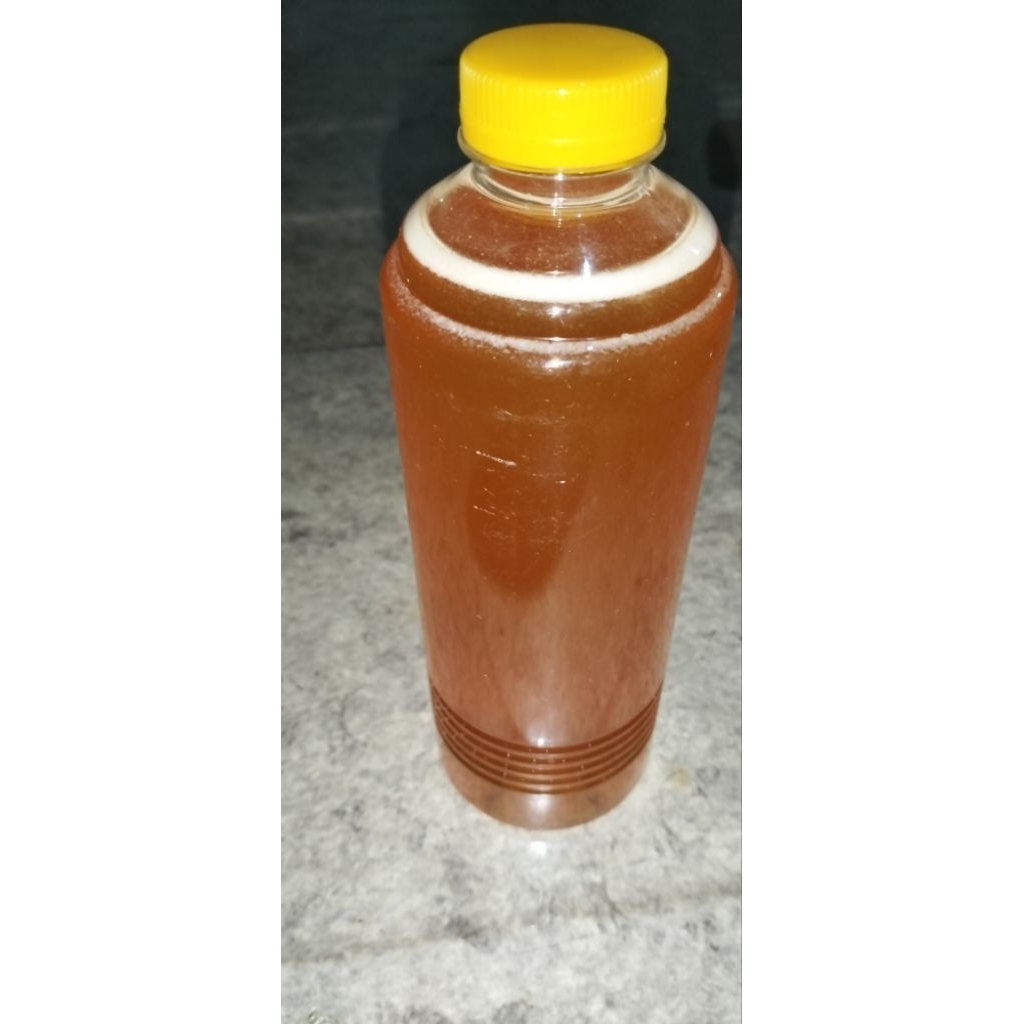 Madu murni hutan Kalimantan