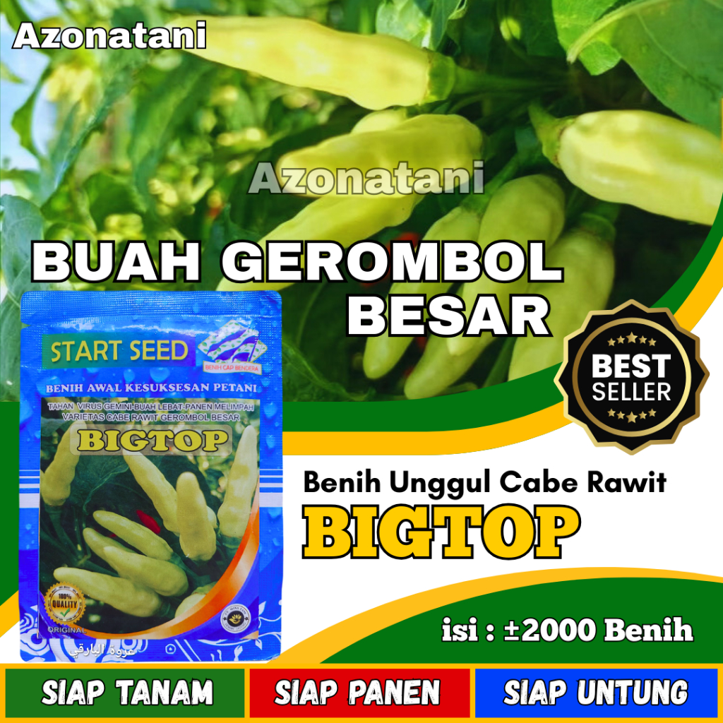 Bibit Cabe Rawit BIGTOP Benih unggul cabe rawit gerombol besar | bibit cabe rawit unggul tahan virus