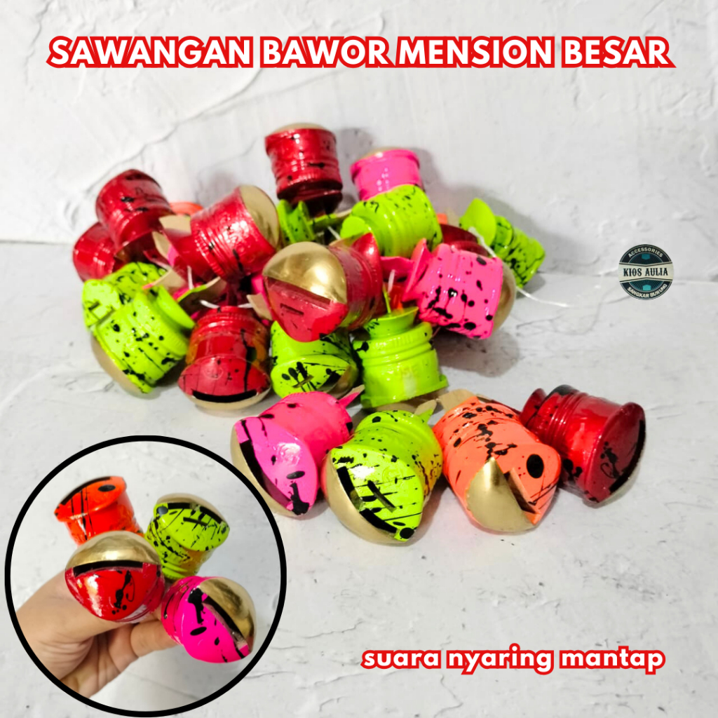 (GROSIR ECER) SAWANGAN BAWOR MENSION BESAR BURUNG MERPATI DARA BARUU NYARING